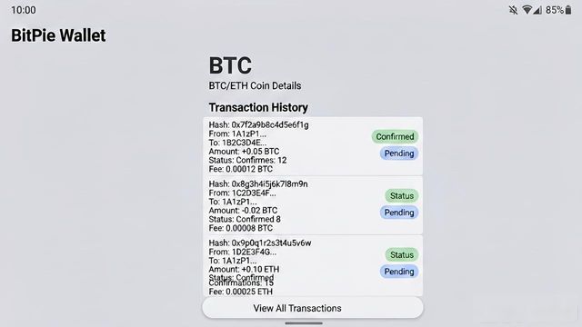 bitpie比特派钱包_比特流币_如何利用比特派钱包app官方下载网址查看资金流动？